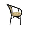 Chaise de terrasse pour restaurant avec accoudoir Chopin Noir Thonet en toile