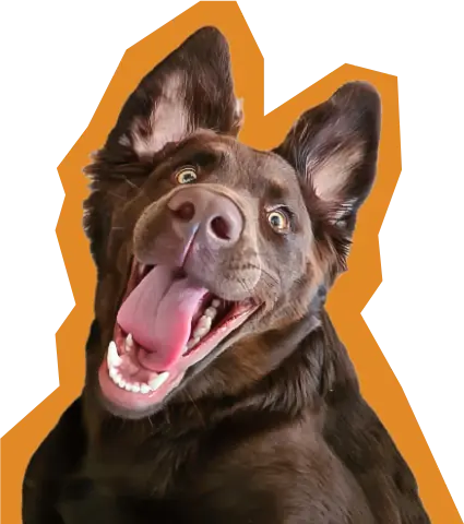 https://super-chaise.fr/wp-content/uploads/2024/02/nana-happy-3.png